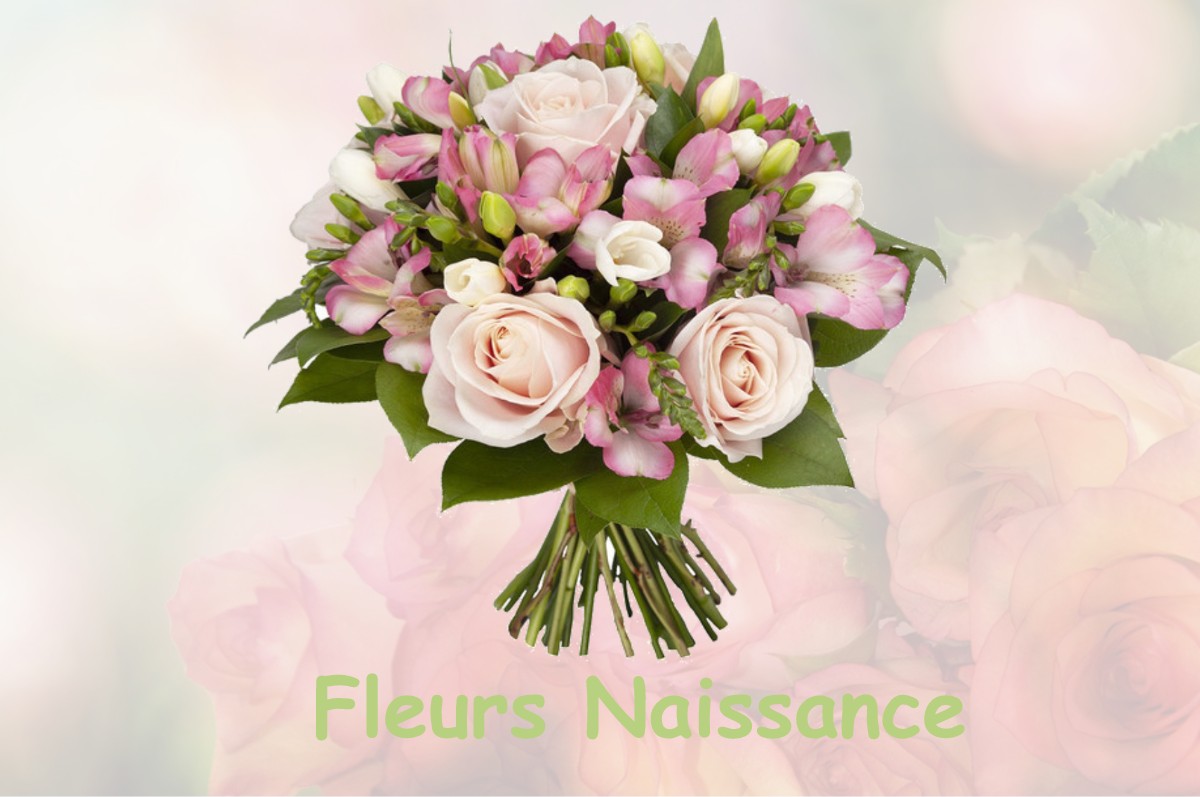 fleurs naissance BOURCEFRANC-LE-CHAPUS